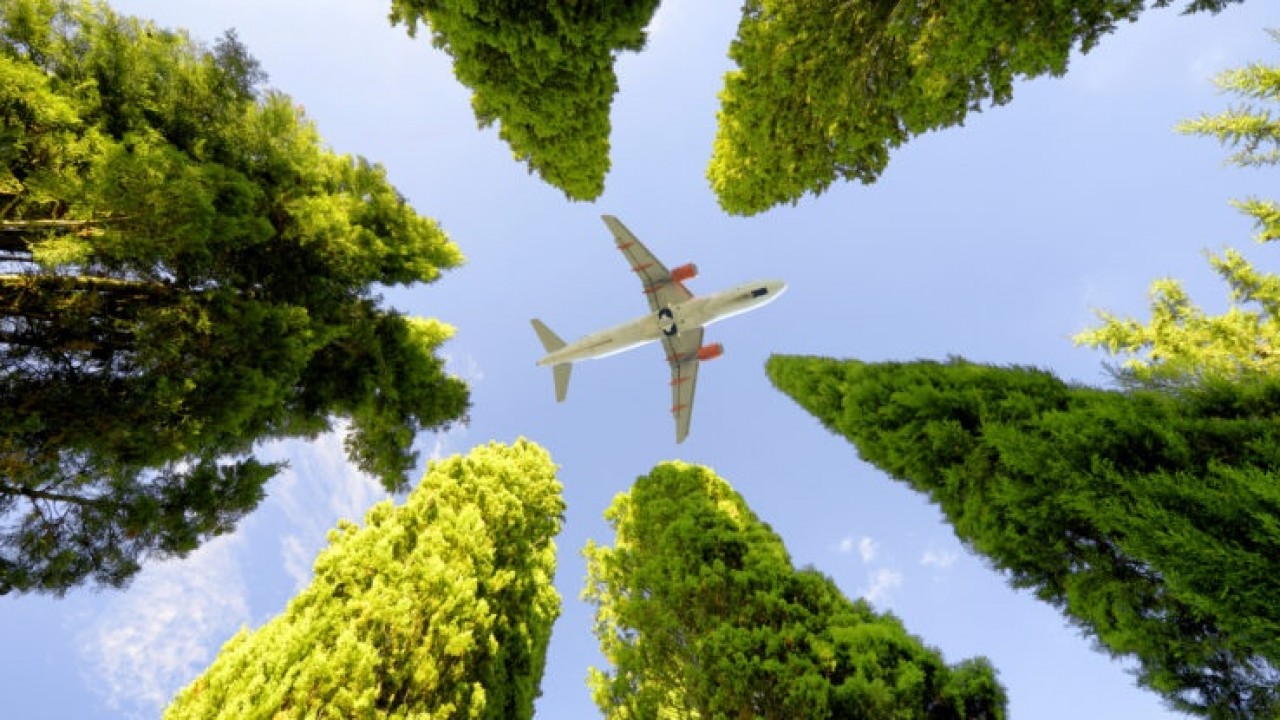 Sustainable aviation critical for reducing the average ... Image 1